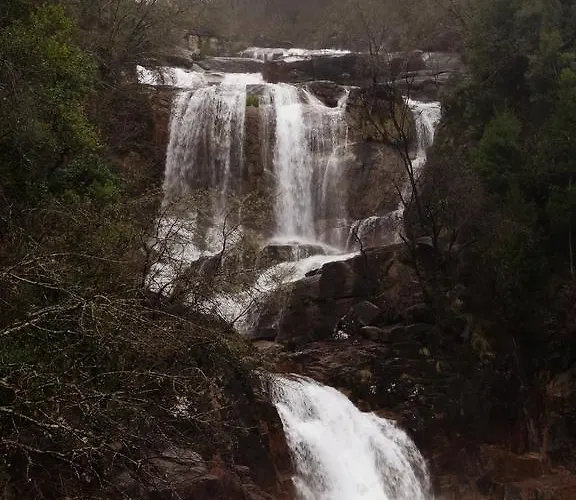 캠프장 Nomad Planet