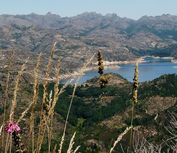 Nomad Planet 캠프장 Fiães do Rio