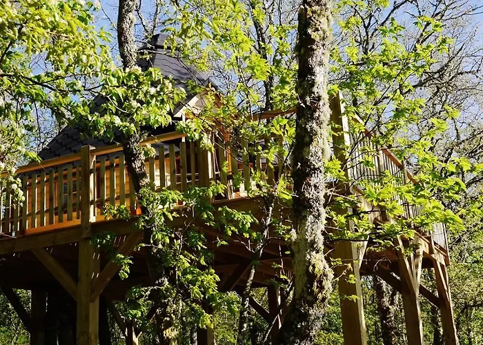 캠프장 Nomad Planet *