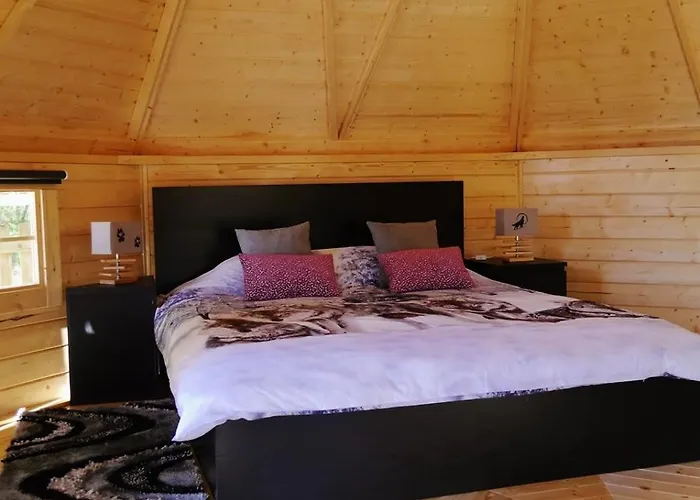 캠프장 Nomad Planet Fiães do Rio